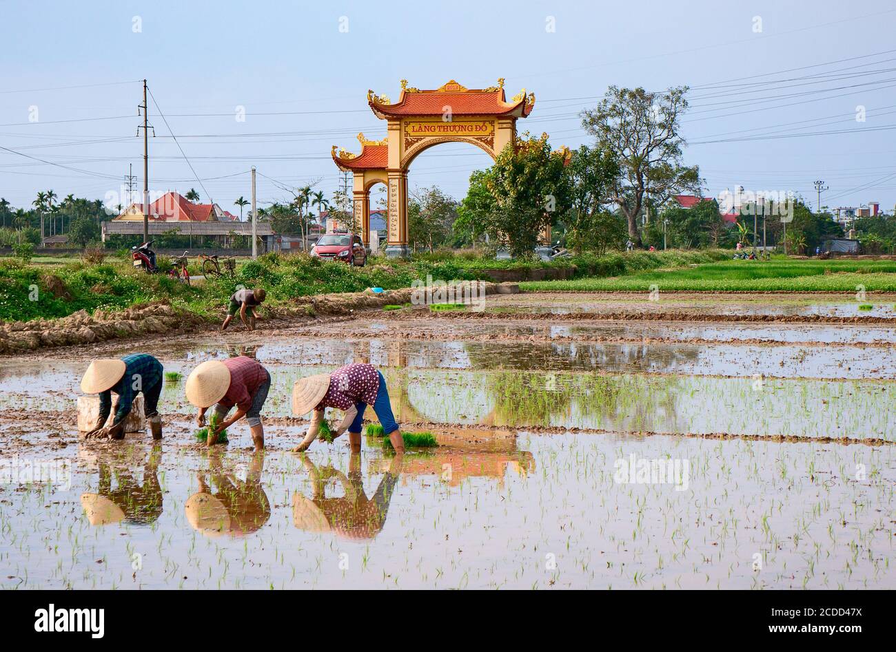 La gente nei sobborghi di Hai Phong, Vietnam, lavora nei campi Foto Stock