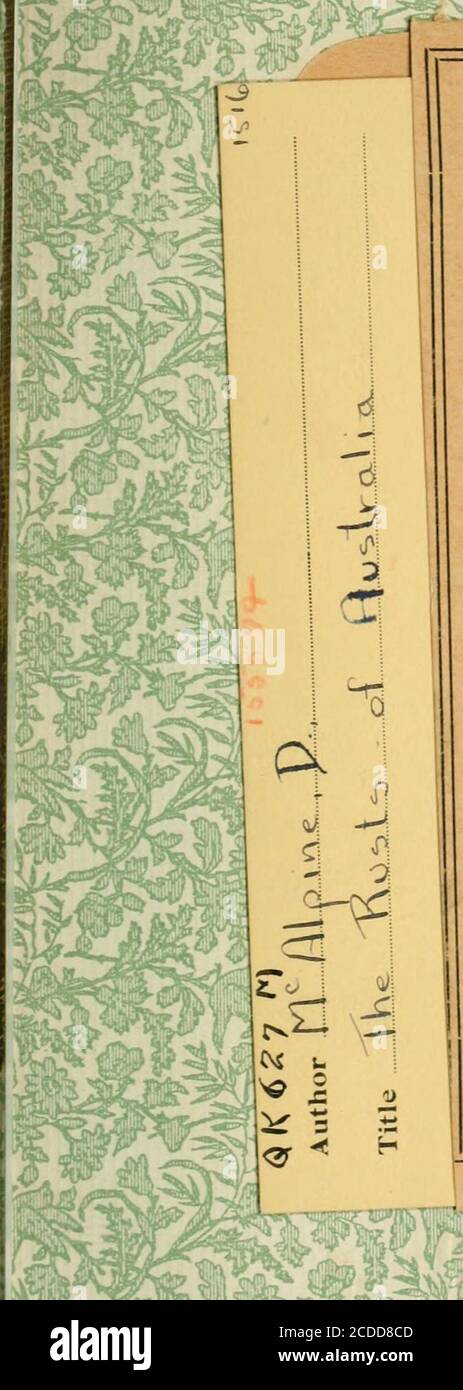 . I rust dell'Australia, la loro struttura, la loro natura e la loro classificazione . .. 39 83 trifolii - ciclo completo 84 introdotto 43 micelio perenne 5 tuberculatum 35 vesicu/osus, teleu- tospora a due celle 39 83 uromicladio... ... 24, S3, 104 formare le galline spesso 6 mesospori 25 26 spermogonia 14 teleutospori 24 vescicole 24 uromicladio maritimum, verificarsi di spermogonia L3 37 notabile 14 micelio perenne e galline ... 6 robinsoni, spermogonia 13 tspperianum, spermogonia ... i:; 37 micelio perenne e galline ... 6 Uropyxis 83 Ustilagines 40 organi vegetativi, micelio 3 uredospores di Verrucosio Foto Stock