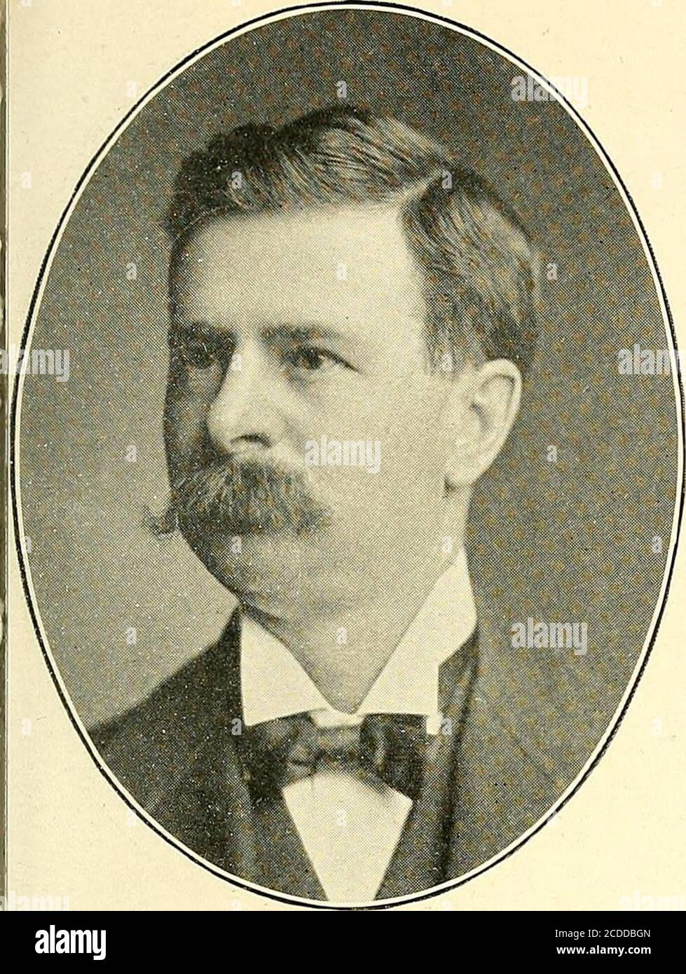 . Men of Minnesota; una collezione di ritratti di uomini prominenti nel mondo degli affari e della vita professionale in Minnesota . LYMAN W. DENTON, TEL. D., M. D. MINNEAPOLIS.EX-PROF. DI ECONOMIA POLITICA NORTHTERNCHRISTIAN COLLEGE; AUTORE E POETA. (, UOMINI DEL MINNESOTA. 209. Foto Stock