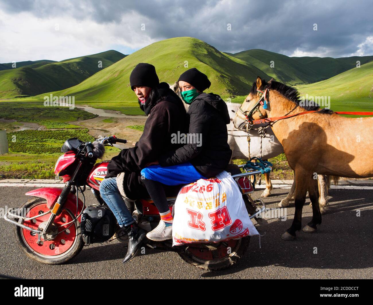 I giovani Khampas stanno portando i loro cavalli al festival, vicino a Litang City. Foto Stock