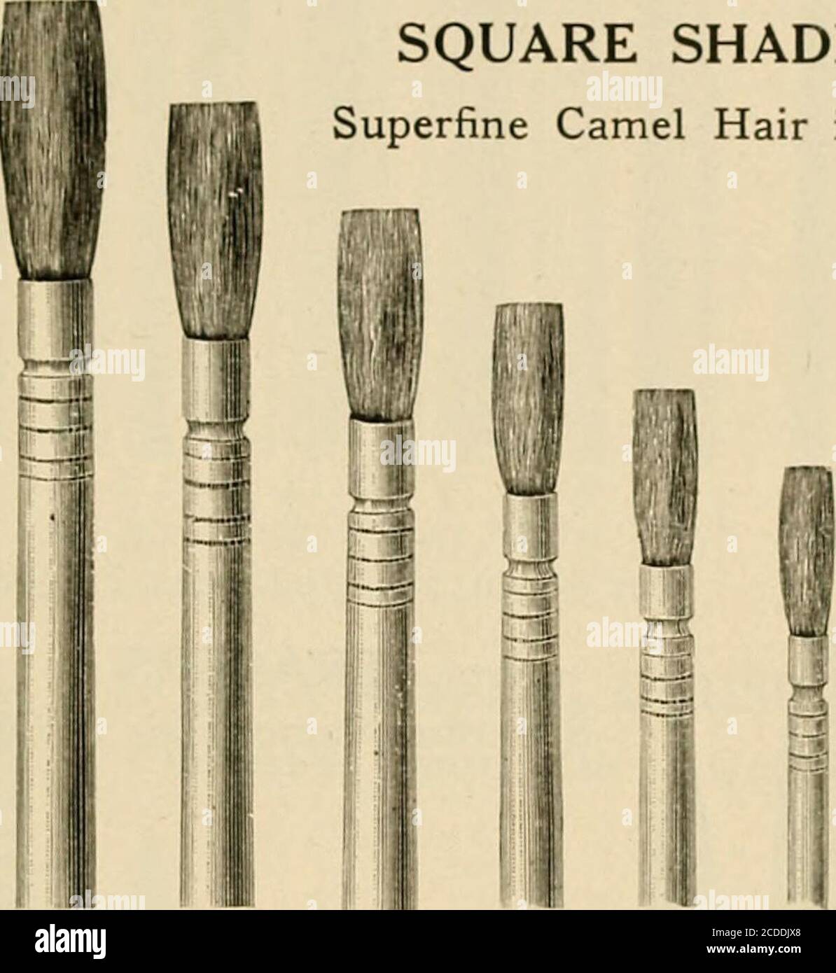 . Catalogo illustrato e listino prezzi di colori e materiali per decorare cina, terracotta, vetro, ferro smaltato, ecc. : Ossidi e sostanze chimiche / importati e fabbricati da B. F. Drakenfeld & Co. Cicate Soda, solfato Spermaceti Steatite, Stearine stronzio, carbonato stronzio, nitrato zucchero di piombo zolfo Fiori, talco, stagno in polvere, Frassino stagno, cloruro, cristalli stagno, metallico, granulato. Stagno, ossido, stagno nero, ossido, stagno grigio, ossido, bianco, extra leggero. Stagno, sali titanio, nitrato titanio, ossido Turchia Umber, uranio bruciato, cloruro uranio, nitrato uranio, ossido, nero Urani Foto Stock