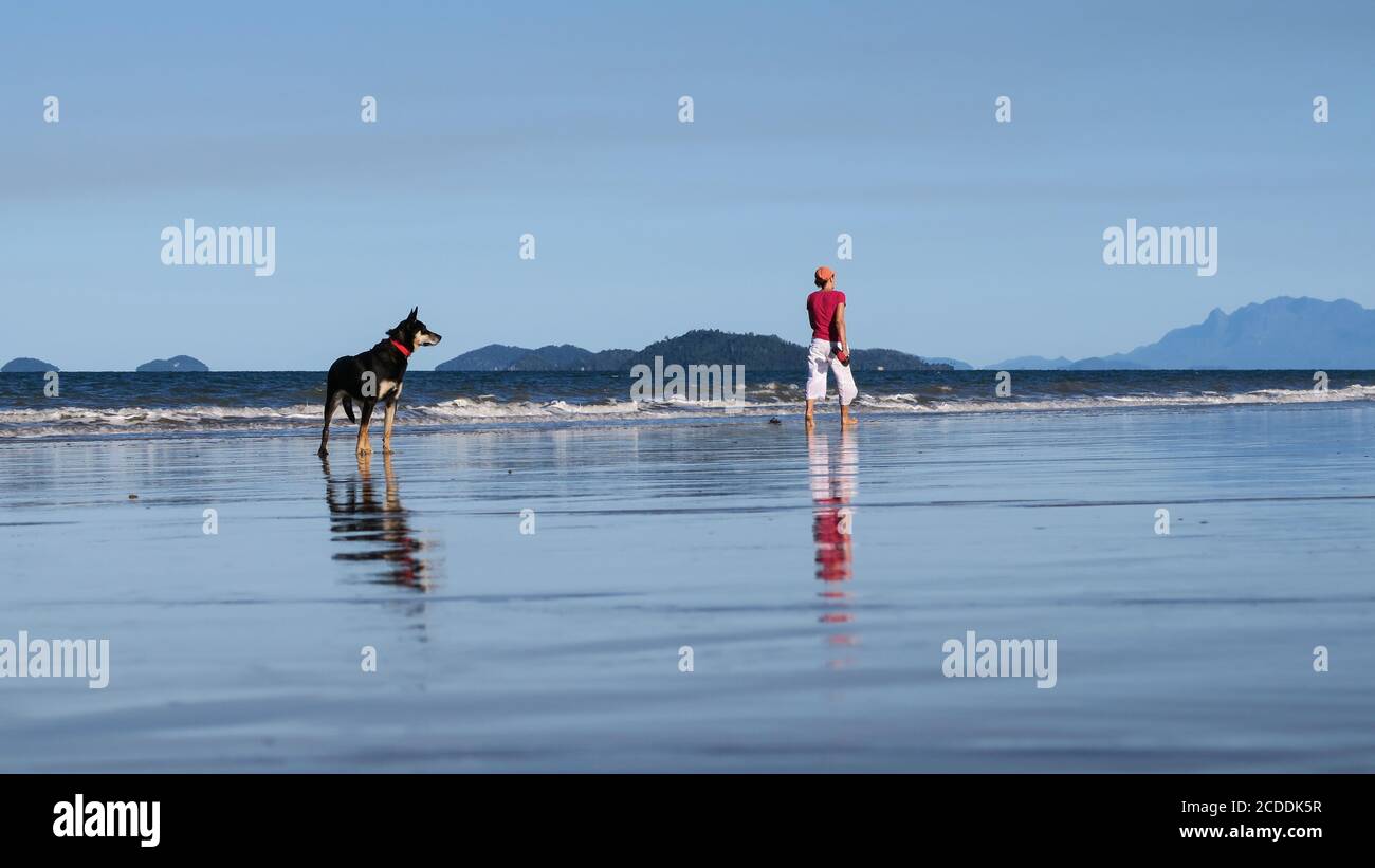Un cane che si gode il sole e il mare guardando il proprietario che cammina lungo le rive del sabbia. Foto Stock
