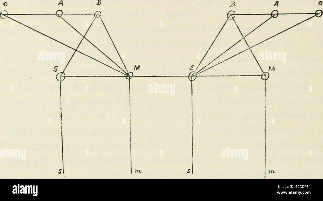 . Il Journal of nervous and mental disease. Distruzione dei tratti di associazione, collegando i centri sensoriali con gli altri centri, non solo il motore, ma i cen-ter psichici superiori. Quando vi è una perdita di tutti gli impulsi di associazione dai centri sensoriali, l'anima non è cosciente di questa parte del cervello, l'arco di riflesso corticale superiore viene distrutto, e risultati di paralisi muscolare apparente. Tratti, tuttavia, dai centri ottici e acustici e 152 H. HOPPE dai centri sensoriali del lato opposto attraverso il thecorpus callosum, alla zona motoria del apparentemente paralizzato Foto Stock