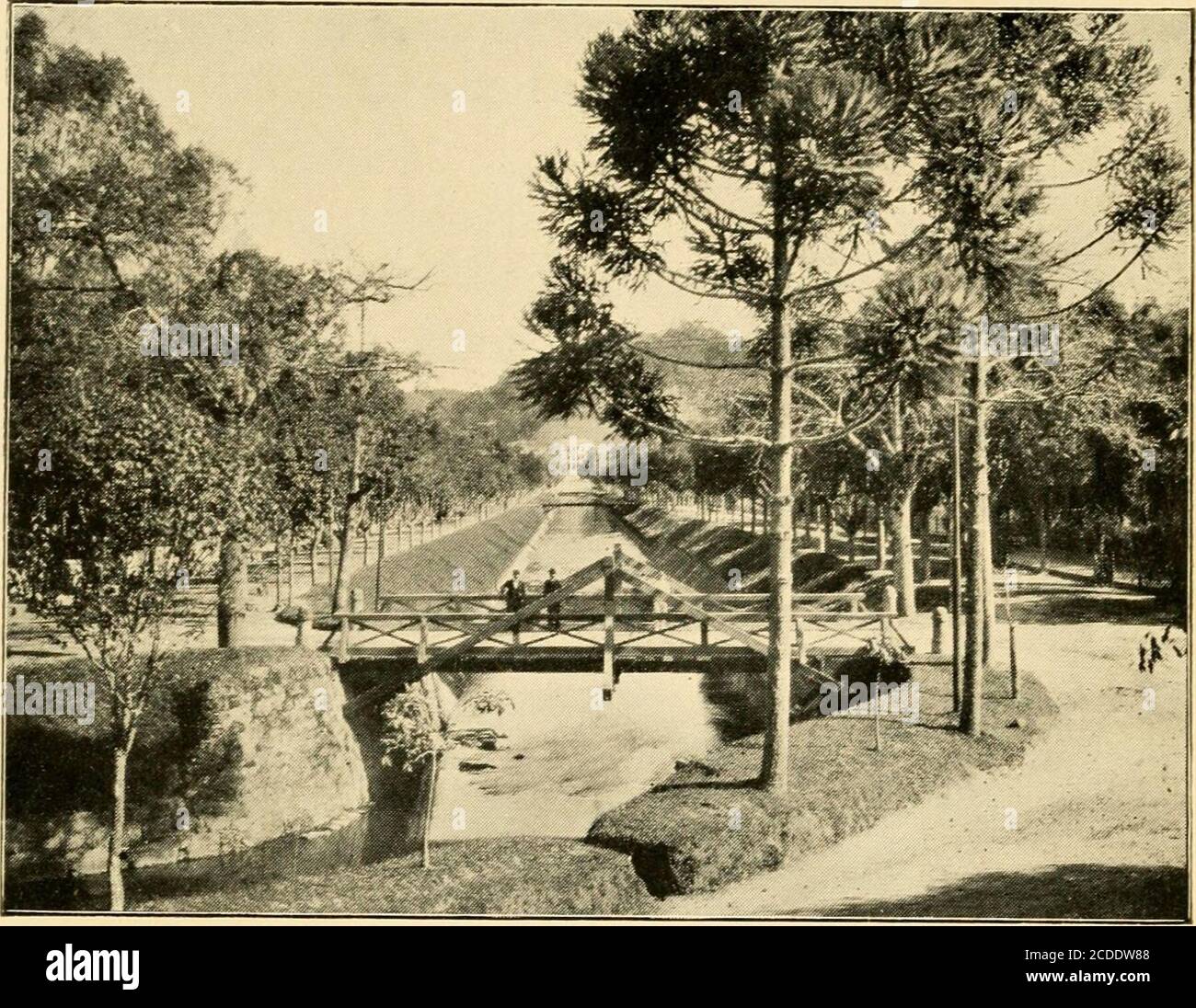 . Quarant'anni in Brasile . le condizioni per l'allevamento e l'allevamento di bovini. Negli Stati meridionali l'allevamento bovino è in larga misura carrabile, soprattutto nel Rio Grandedo sul, dove, come già detto,^ è l'industria dei princi-pal. Negli stati di Goyaz, Matto Grosso e MinasGeraes, e anche nella parte occidentale dello stato di Sao Paulo e gli alti uplands dei theStates di Bahia, Piauhy e Maranhao, ci arewide aree adatte a questa industria molto lucrativeindustry. Mi sofferma qui per ricordare che l'allevamento di bovini porta in media il 30 per cento dei capitalinvestiti Foto Stock