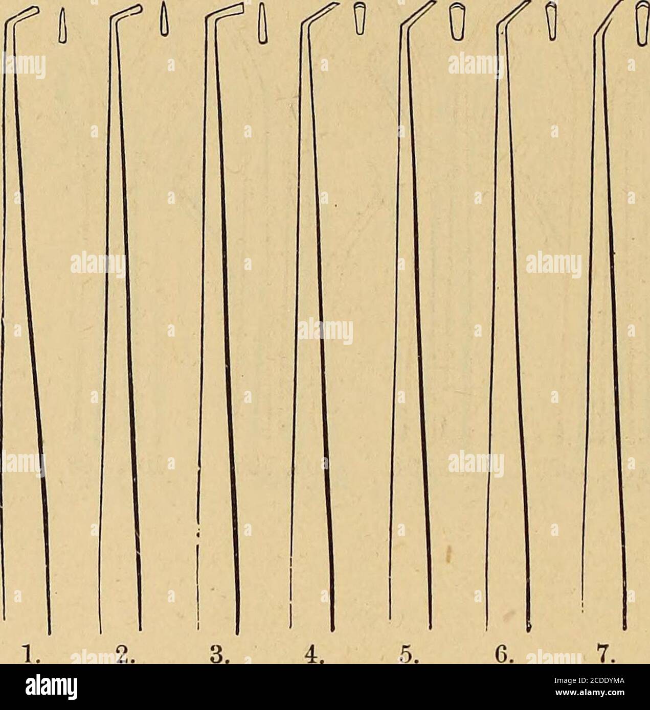 . Catalogo di materiali dentali, mobili, strumenti, ecc., in vendita . 127.12S. 123.130 139. 140. 141. 142. G8 S. BIANCHI DR. W. 0. SERIE DI TESTE DI ESCAVATORI. M. f5 /o fll 9. 10. 11. 12. 13. 14. Foto Stock
