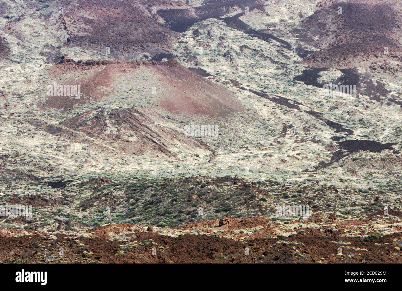 Parque Nacional del Teide Foto Stock