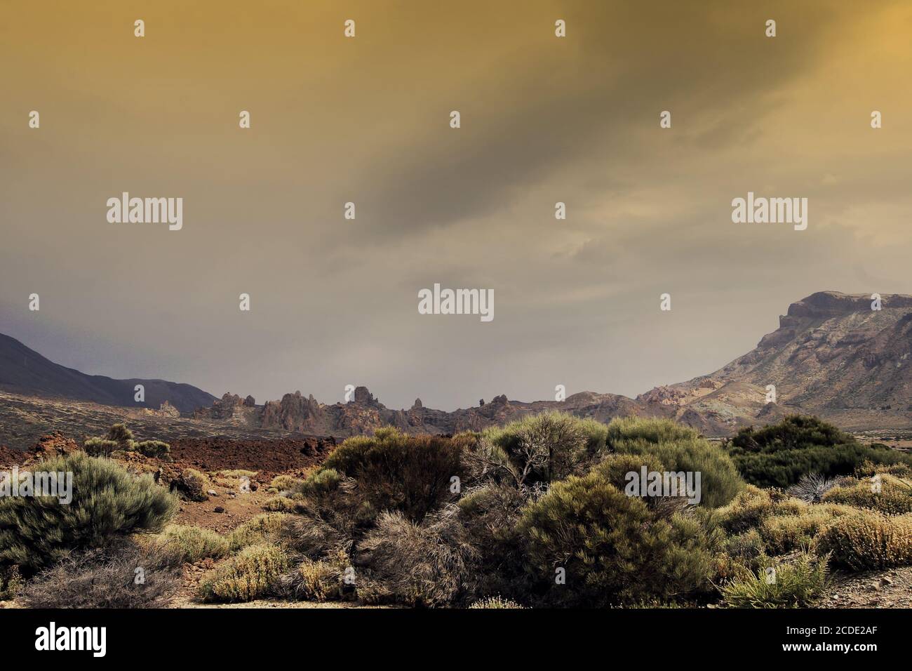 Parque Nacional del Teide Foto Stock
