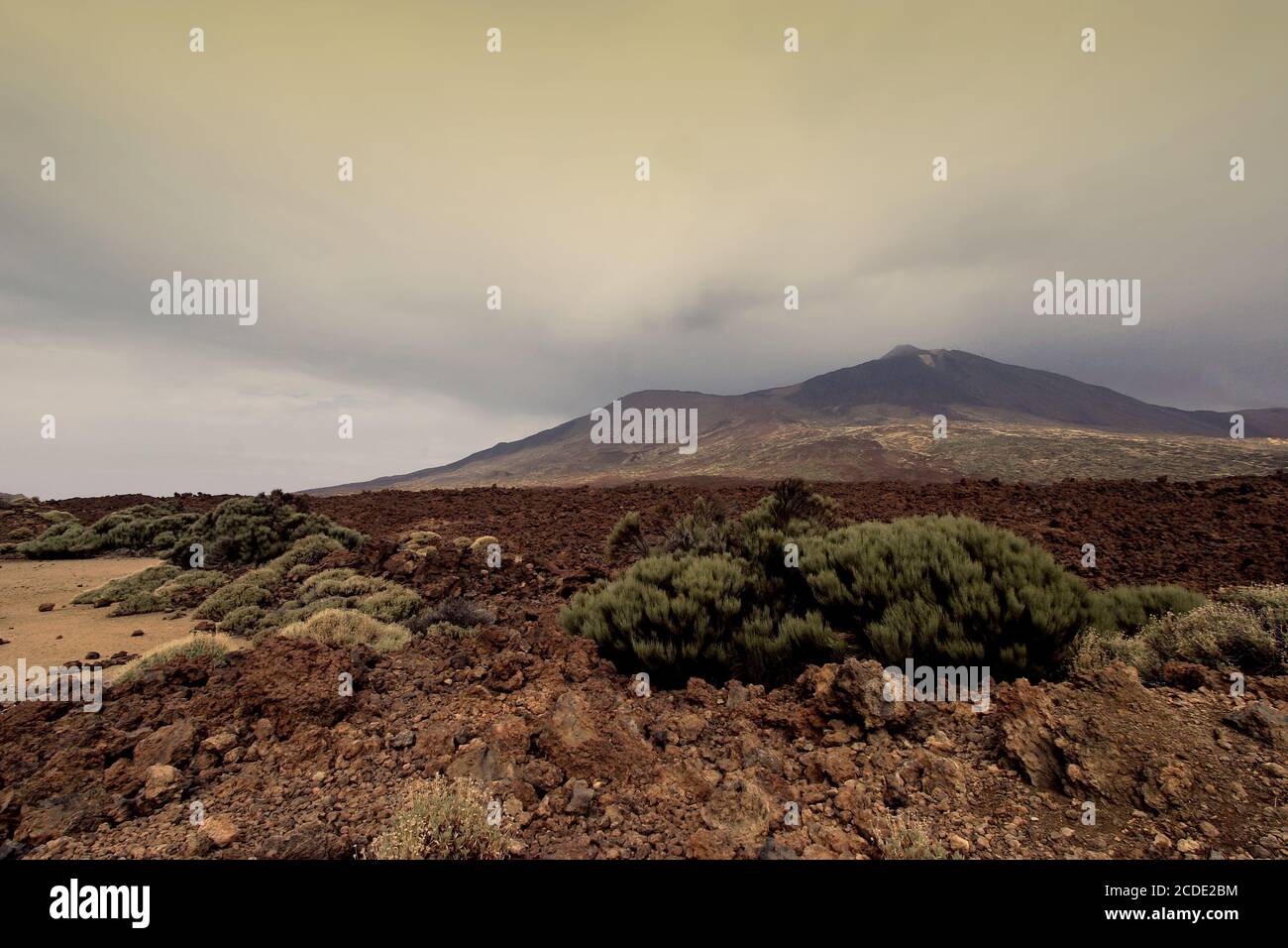 Parque Nacional del Teide Foto Stock