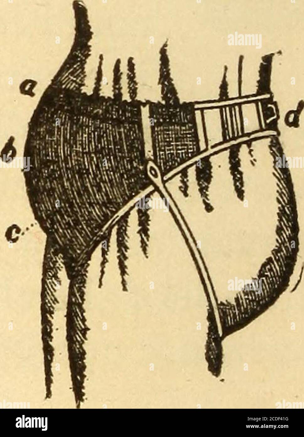 . ... Donna in vita, in vita, in vita, in vita, in vita, in vita, nelle sue responsabilità e nei suoi doveri; guida nel mantenimento della sua salute e dei suoi figli . Vita con bottoni per indossare le gonne. Suspender gonna. Abdominalbandage. Gravidanza. La seta o la lana devono essere indossate accanto alla pelle, la maglietta con un collo alto e maniche lunghe. L'uso di gar-ter dovrebbe essere disarticolato. Evitare qualsiasi compressione intorno alla vita. Il corset ordinario quindi mustbe scartato, ma al suo posto un vita igienica vita o corset ha fatto VITA DURANTE LA GRAVIDANZA 163 in particolare Foto Stock