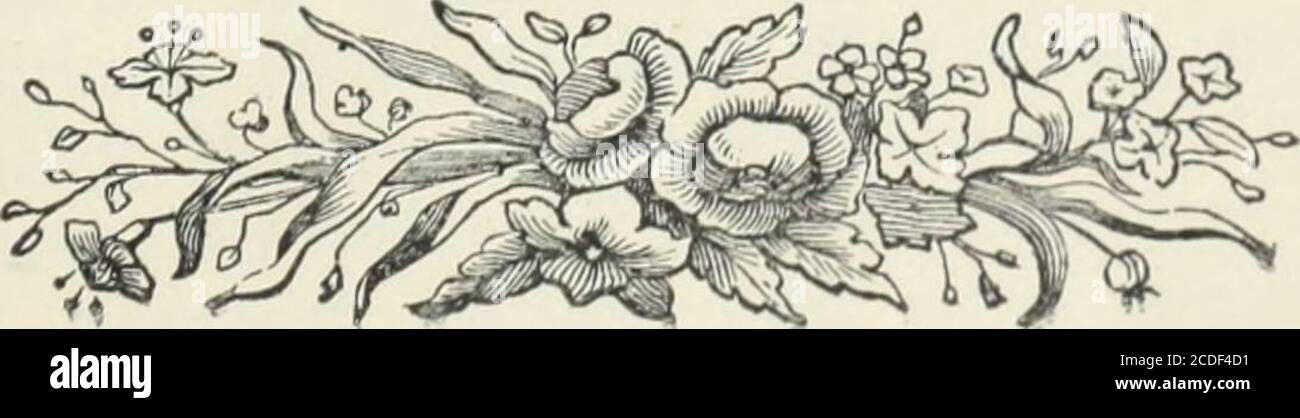 . Le poesie di Edwin Arnold .. . gt;il con titolare € * (i due gateway.)il propizio. . (La colomba) il Nocivo (il paradiso dei Re Sheddads^ 301 502 301 301 304306 93. An-Noor 94. Al-Hddi 95. Al-Azali 96. Al-Bdki € 97. Al-Warith 98. Al-RascMd 99. AS-ZaboorNote . CONTENUTO. La luce (Sura, della luce.)la guida (i quattro viaggiatori.)Eterna nel passato Eterno nel futuro S * (Sura di Ya Sin.)l'ereditore . (La Rosa e il DewdropThe Unerring . (I Profeti Oath.)il paziente . (Islam) Vll PAGINA 310311 312 314 )315 316 varie Poesie orientali. La moglie di Rajpoot 325 re Saladin 332 il Foto Stock