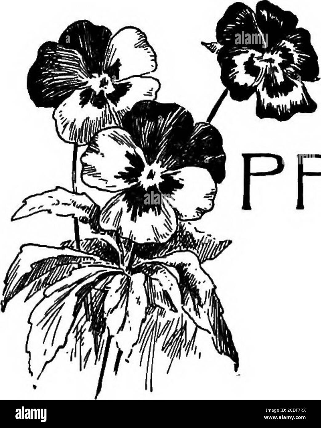 . Stepping pietre alla letteratura: Un lettore per i gradi sesto. PREFAZIONE QUESTA serie di libri è progettata per soddisfare in particolare due esigenze educative: Jirst, leggere libri che contengono meglio letteratureche il lettore medio contiene; secondo, libri adattati alla scuola modernizzata. La serie ordinaria di lettori consiste di cinque o sei libri, i primi tre essendo composti di fatto materia, messo insieme sulla teoria che i bambini possono leggere solo le selezioni che contengono determinate parole. I restanti due o tre libri sono in parte di materia originale e in parte di eelectiona breve e disconnesso Foto Stock