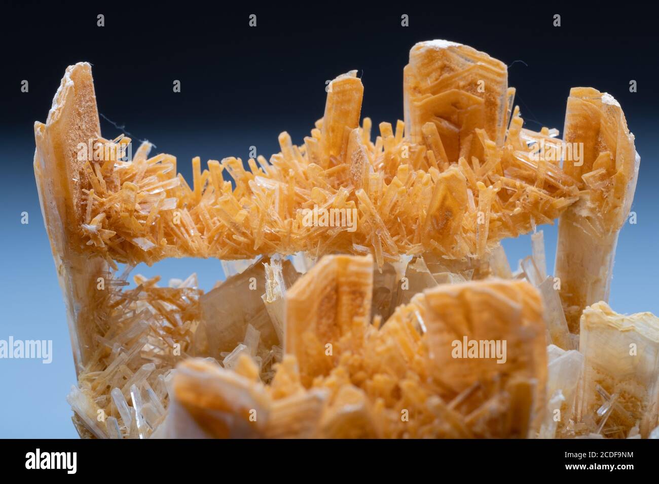 Minerale di gesso Foto Stock