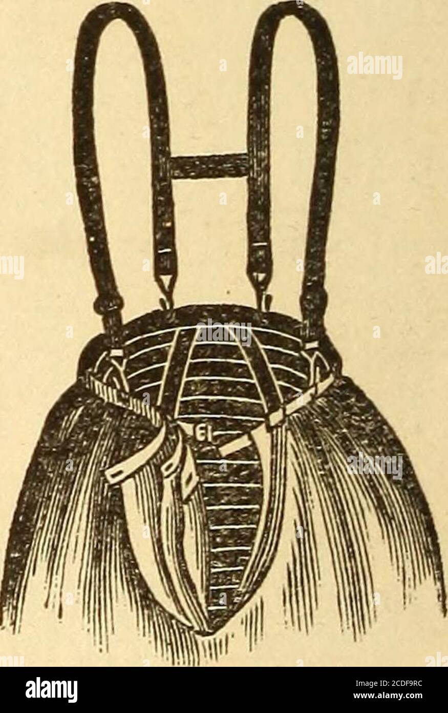 . ... Donna in vita, in vita, in vita, in vita, in vita, in vita, nelle sue responsabilità e nei suoi doveri; guida nel mantenimento della sua salute e dei suoi figli . Vita e Suspender per sostenere le Camicie dalle spalle. Figure allegate. Gli indumenti non dovrebbero interferire con la respirazione, o comprimere uno qualsiasi degli organi addominali.l'articolo di un abito femminile che ha causato più malato- ABBIGLIAMENTO DAL PUNTO DI VISTA IGIENICO 67 la stezza e la ferita che qualsiasi altro è il corset. Non indossare mai il corsabrido ordinary  LW AT  . Il corset igienico, o uno del corset, rinuncia ora sul mercato, Foto Stock