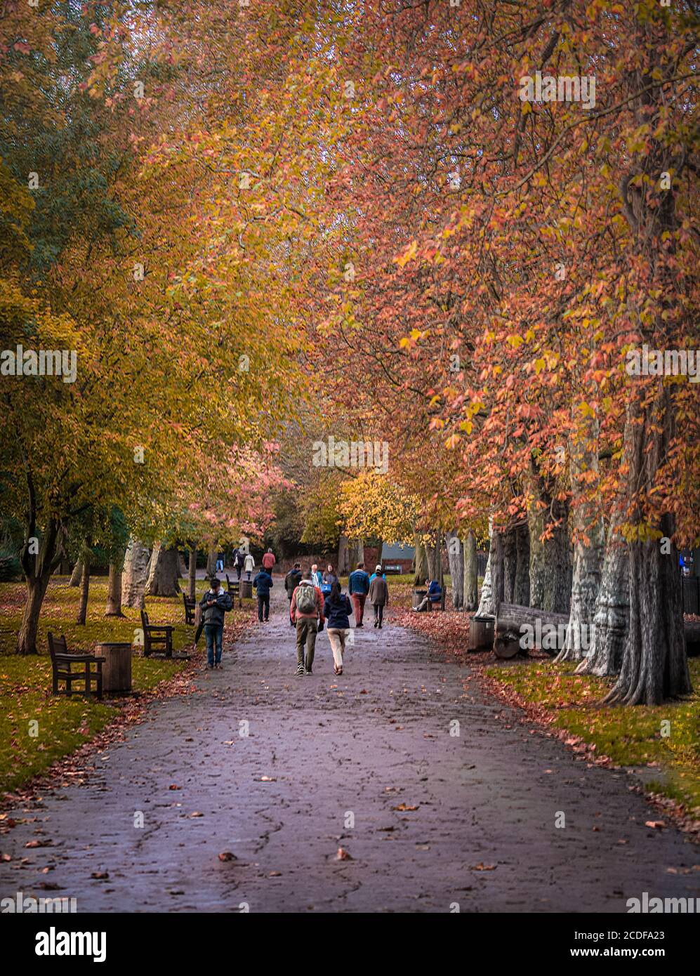 Passeggiata d'autunno Foto Stock