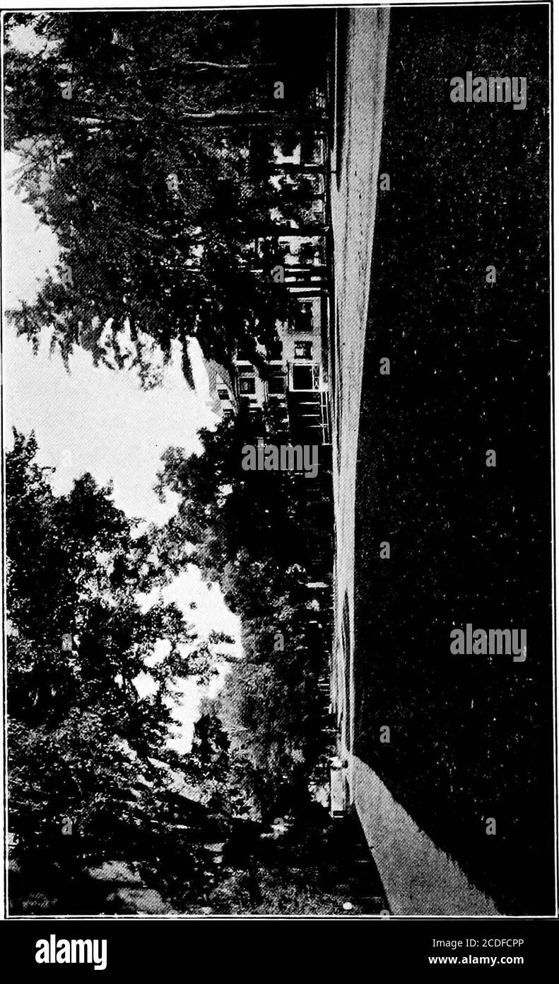 . Miglioramento del villaggio. Ourteen anni di età, theontocitution della società dice, che shallanyearally pianta e protegge un albero sotto thedirezione del comitato esecutivo, o paga theamount di un dollaro annualmente in soldi o in lavoro, sarà un membro dell'associazione. Va notato, di tanto in tanto, che in questi anni questo articolo della costituzione, che prevede così mirabilmente che ogni singolo possa essere ammesso all'adesione, non è mai cambiato. Questo è uno dei segreti della longevità della società, che è stato dal primo affare di una città, una sorta di centro sociale essere-prima Foto Stock