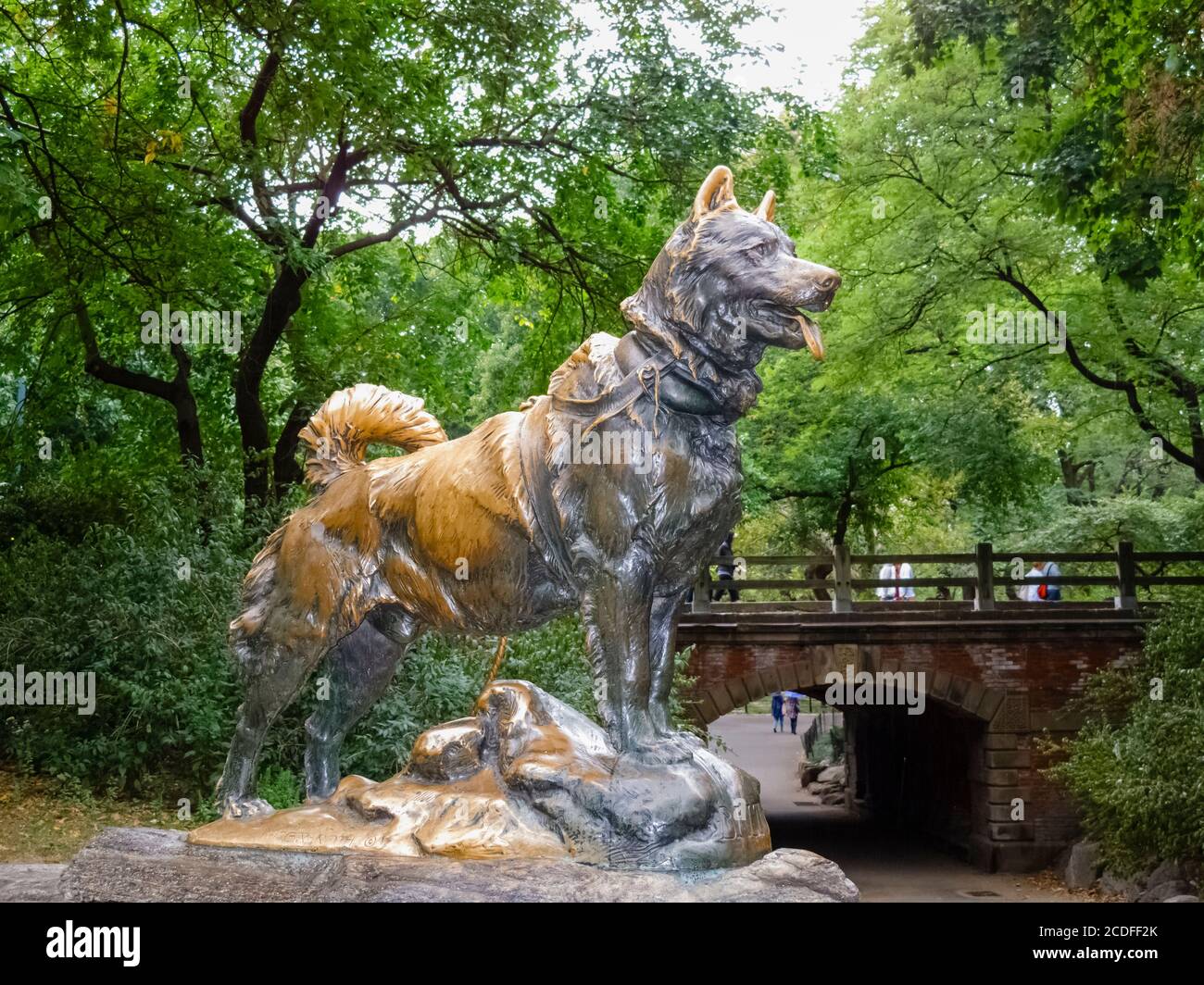 La statua in bronzo del cane da slitta BALto di Frederick Roth, Central Park, Manhattan, New York City, New York, USA Foto Stock
