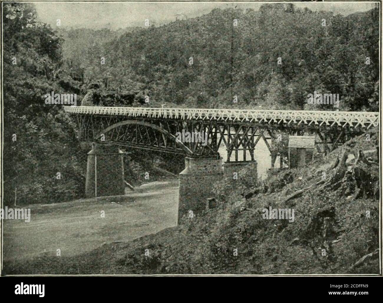 . La geografia della Nuova Zelanda. Storico, fisico, politico e commerciale . ngaruhe, il più grande affluente del Wanganui.il suo corso è peculiare tra i fiumi della Nuova Zelanda inone rispetto, perché a te Kuiti, 100 miglia lontano dal punto Avhere le sue acque mescolate con quelle del Waikato raggiungere l'oceano, la sua superficie è solo 160 feetabove livello del mare, così la sua caduta è solo 1 ft. 7 poll. per mileper quella distanza. La Waipa riceve il drenaggio da molte delle colline della regione vulcanica, e anche il drenaggio sul lato est della gamma da Tuhua a Taupiri. Una notevole differenza rispetto a questa W. Foto Stock