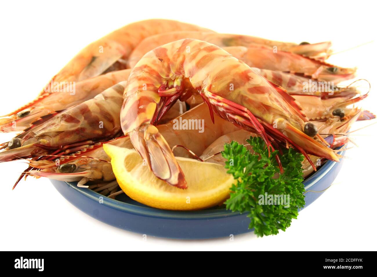 Gamberi freschi di tigre verdi Foto Stock
