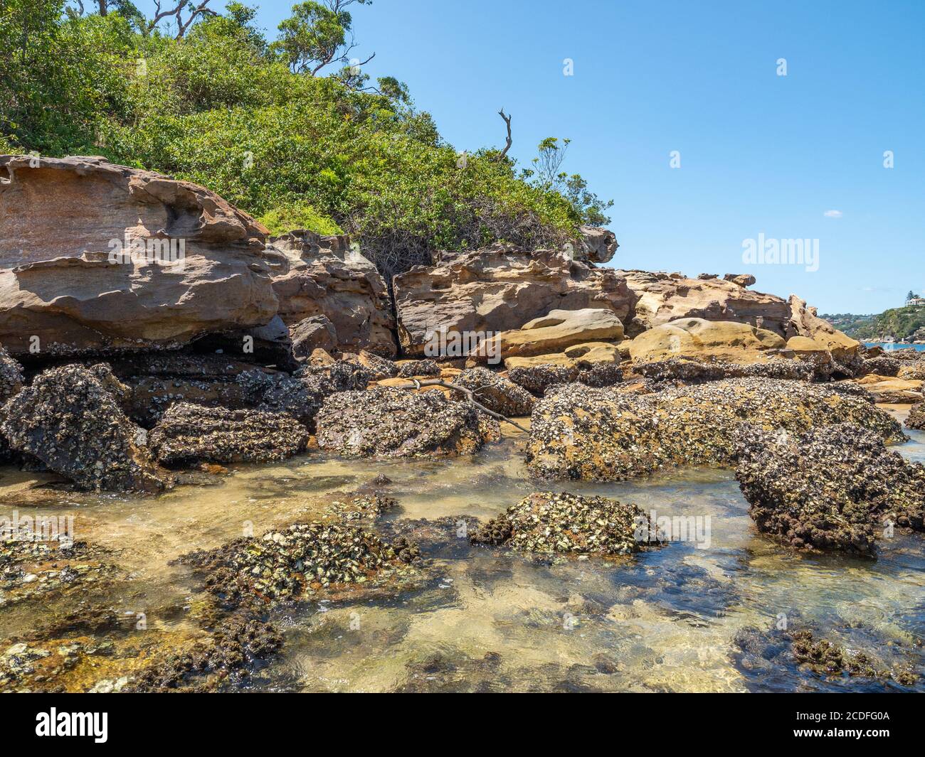 Paesaggio incredibile con rocce di arenaria e porto con mare creature Foto Stock
