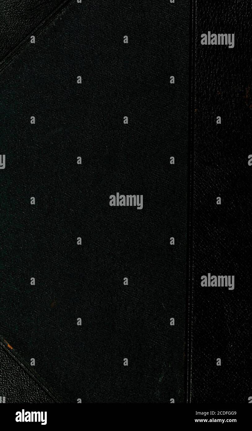 . L'americana : una biblioteca universale di riferimento, che comprende le arti e le scienze, la letteratura, la storia, la biografia, la geografia, il commercio, ecc., del mondo . ent come scena della storia di Giobbe, e che giace a est o a sud-est della Palestina, probabilmente in Hauran, la posizione esatta non essendo stata identificata. Uzanne, II-zan, Louis Octave, bibliografia di scrittori francesi e materie varie:b. Auxerre 14 settembre 1852. Fondò (1880)le Livre, succeduto (1890) da quando nel 1889 fondò i Soi^t^des bibliophiles Contemporains. Tra gli sisworks ci sono (1877); &lt;sua altezza, Donna (1884); &lt;OurFrie Foto Stock