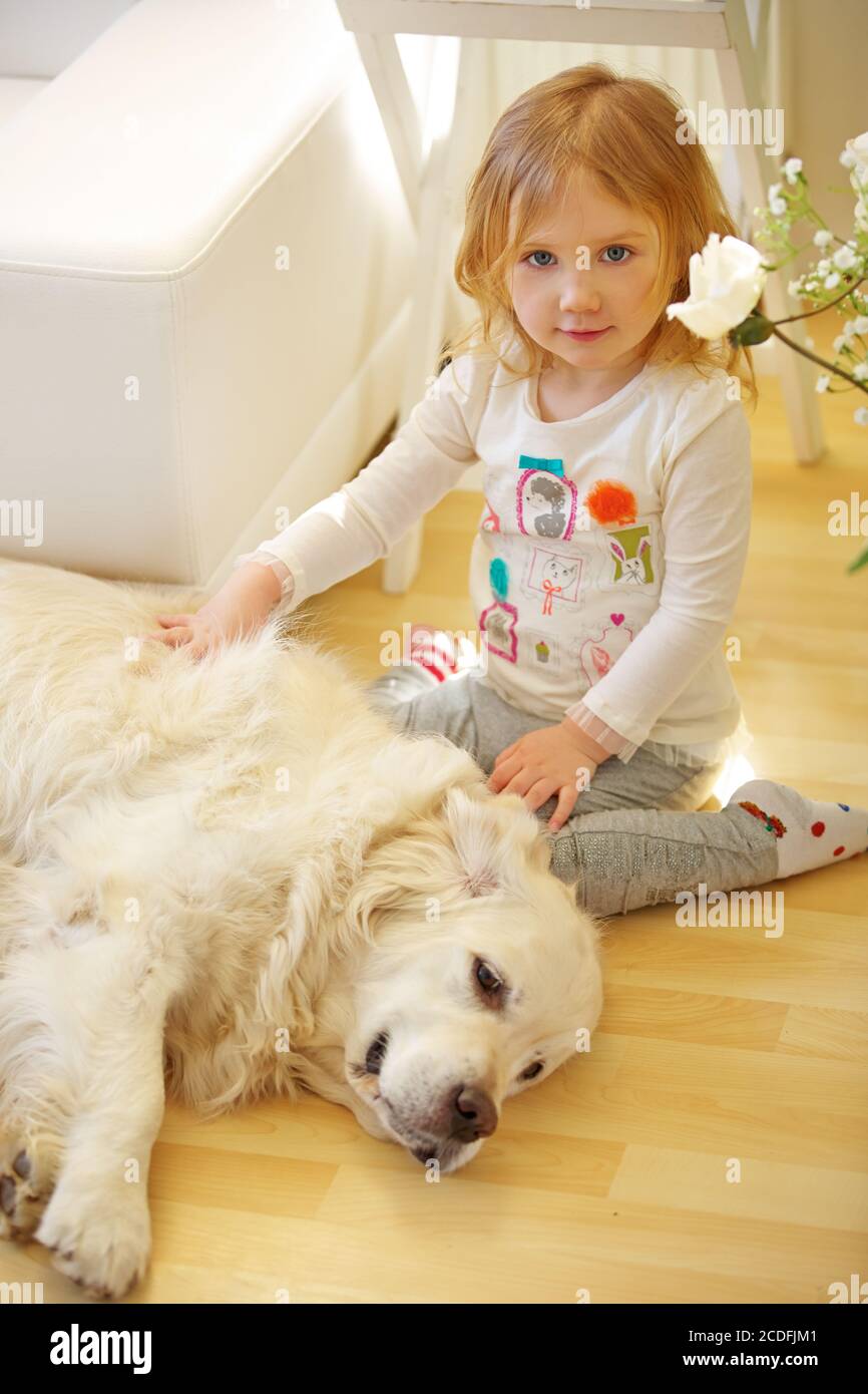 Il bambino accarezza la pelliccia da un cane Golden Retriever Foto Stock