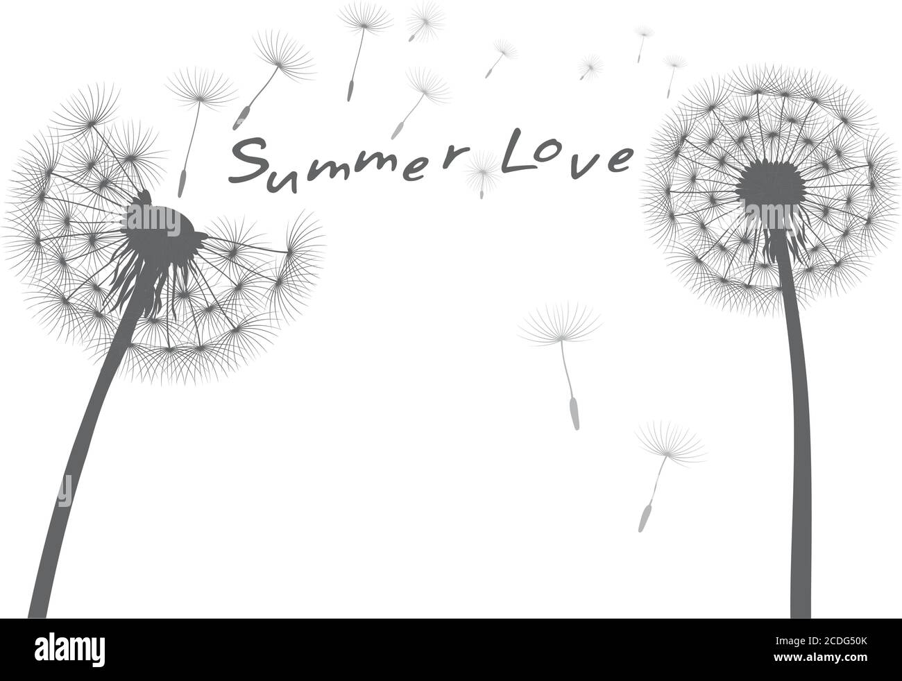 Fine estate e semi volanti. Fiore di dente di leone. Illustrazione vettoriale. Illustrazione Vettoriale