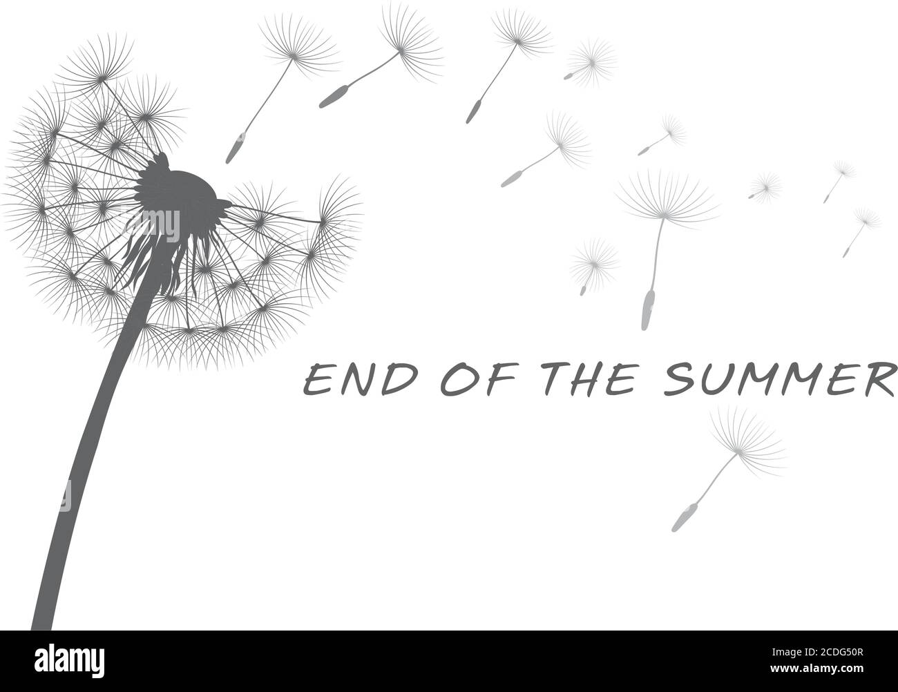 Fine estate e semi volanti. Fiore di dente di leone. Illustrazione vettoriale. Illustrazione Vettoriale