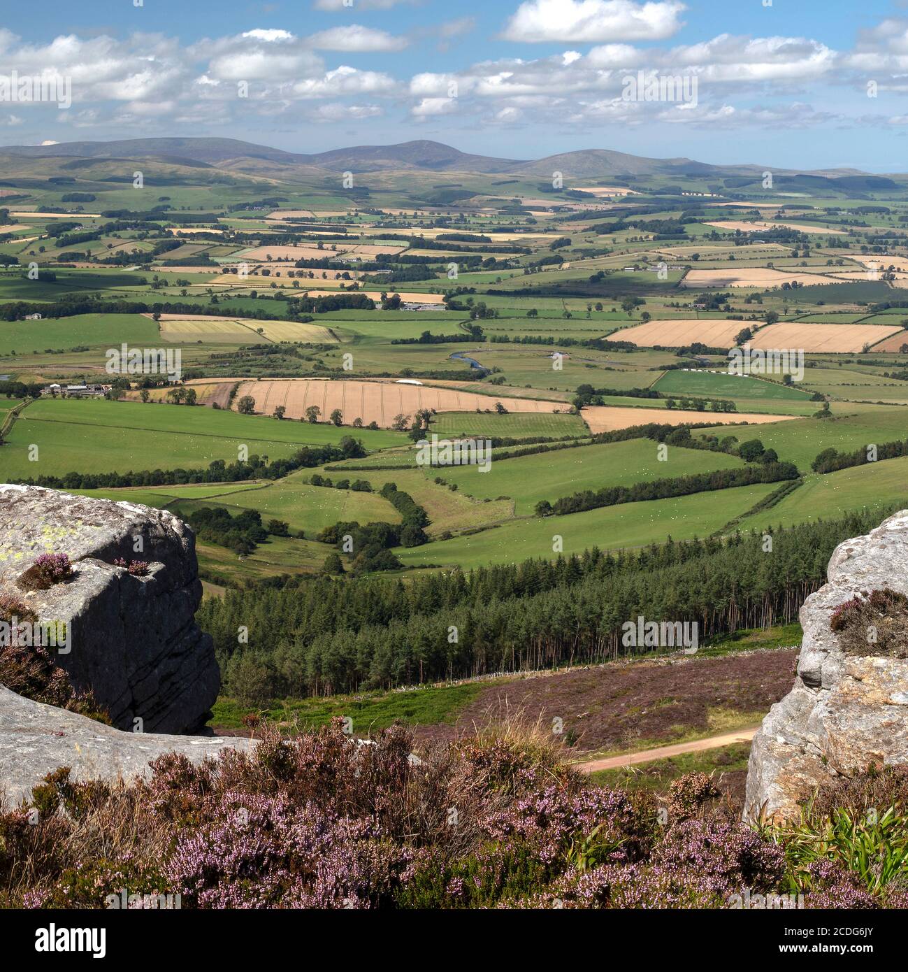 Vista estiva sulle Simonside Hills vicino a Rothbury nel Northumberland National Park, Northumberland, Inghilterra, Regno Unito Foto Stock