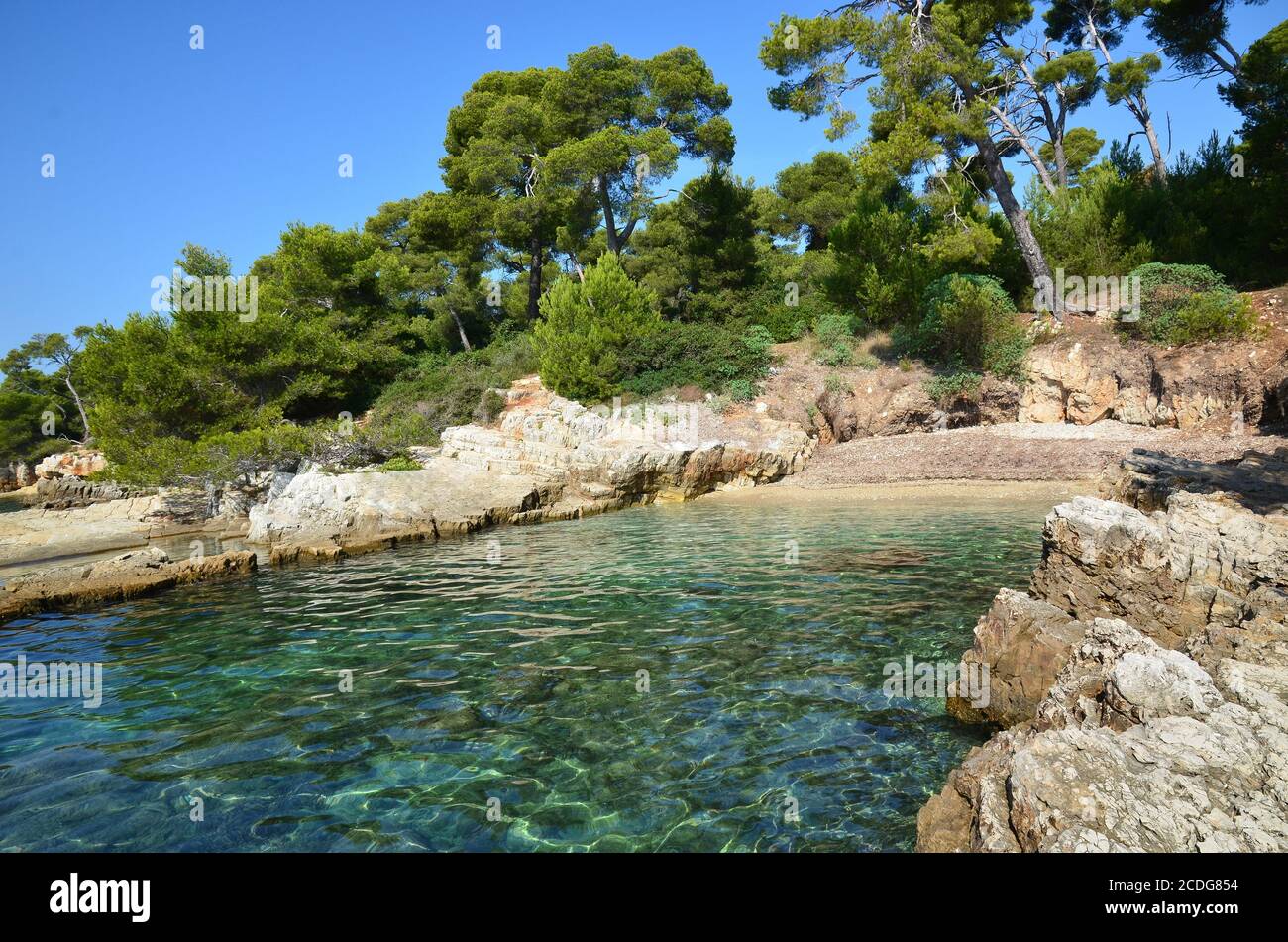 Francia, costa azzurra, baia di Cannes Isole Lerins una baia sull'isola di Sainte marguerite, questo sito naturale nel mar mediterraneo è molto protetto. Foto Stock