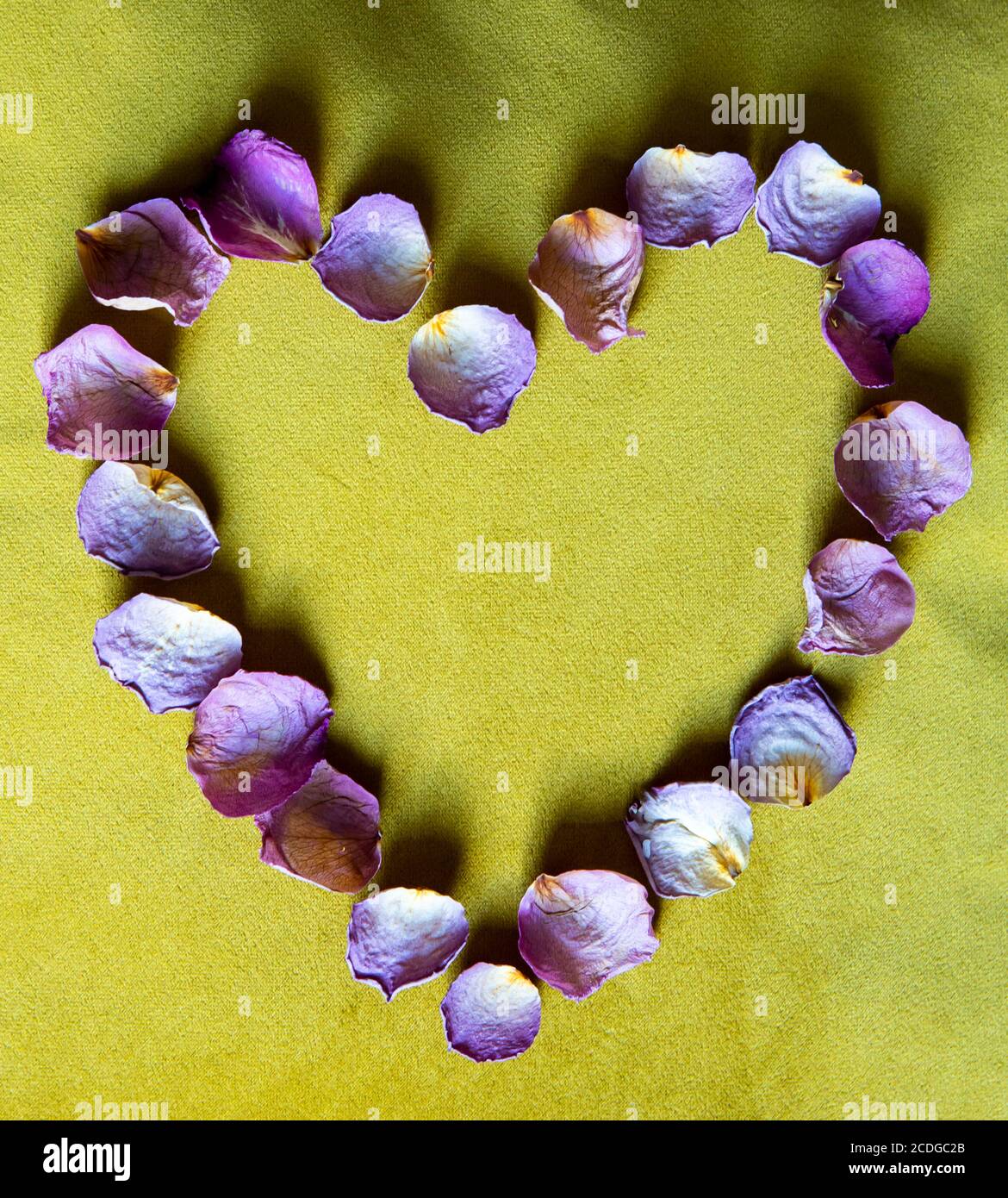 Petali di rosa essiccati disposti a forma di cuore Foto Stock