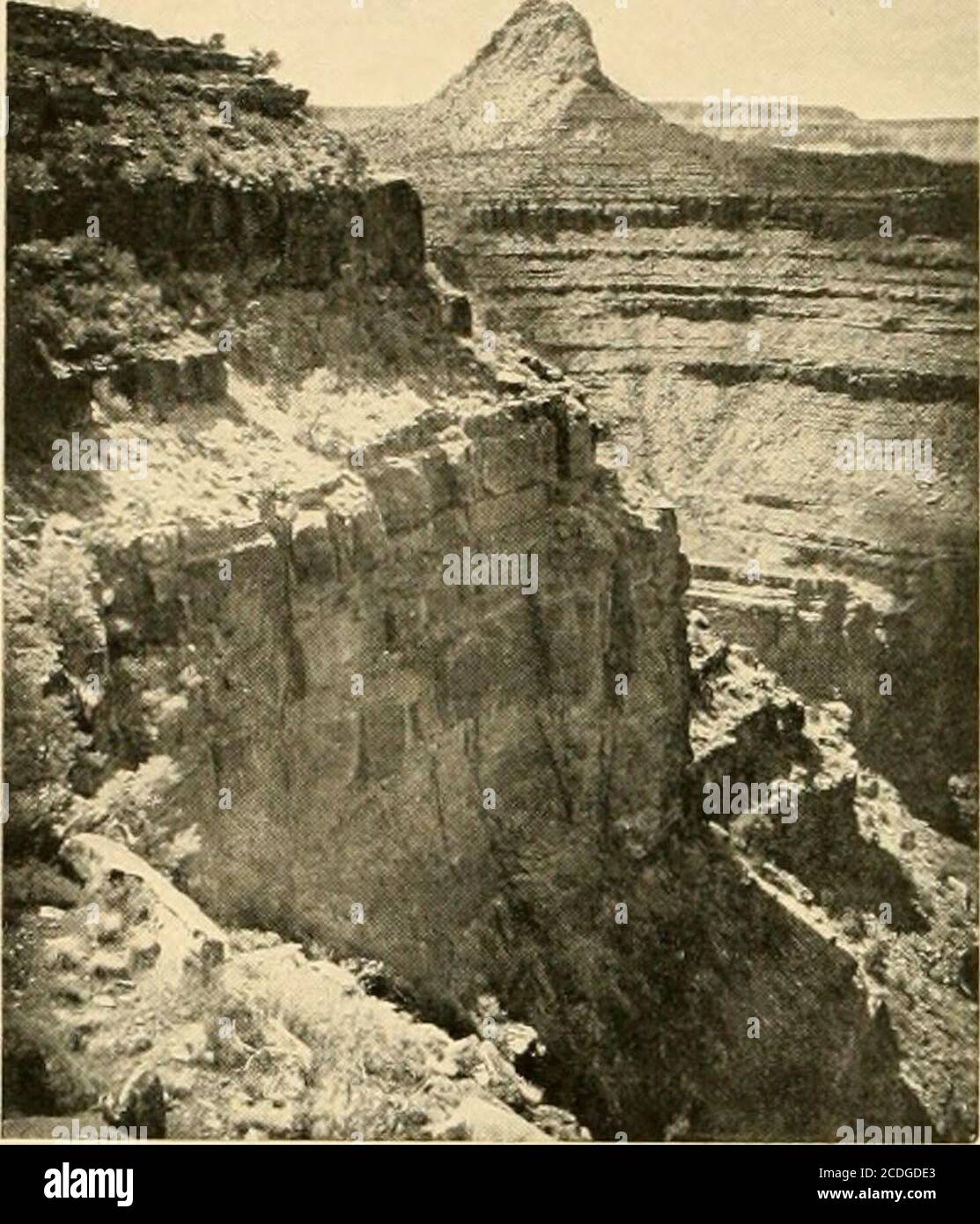 . In & intorno al Grand Canyon; il Grand Canyon del fiume Colorado in Arizona. Lui estremità orientale lontano, è un butte, che chiamiamo il castello del drago. Subito a destra e ad est del GrandScenic divide si trova il Monte Fossil, una grande vetta del calcareo, sia 1 ono-ino- al muro di thesouth, in cui sono stati trovati numerosi offossili. Questo è glo-riously coperto con bushyjunippers e pignoni di dimensioni giuste, e il verde profondo degli alberi e il grigio della pietra ulteriore fascino per il sorprendente redslower giù. Il visitatore curioso, che si fa a lungo, willsee molti altri fea-tures che quelli h Foto Stock