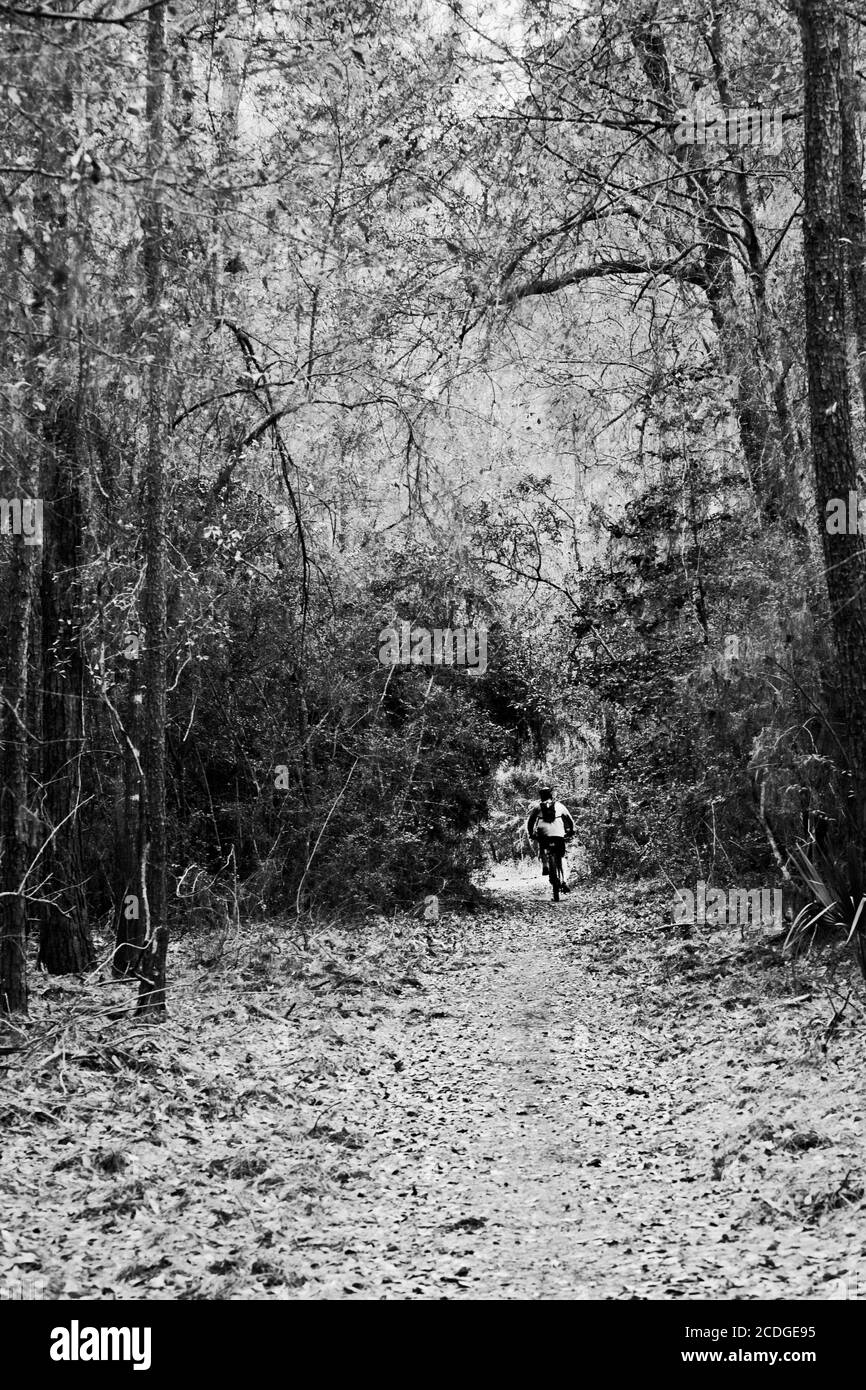 Bike Rider con giacca Rossa a Woods in B&W. Foto Stock