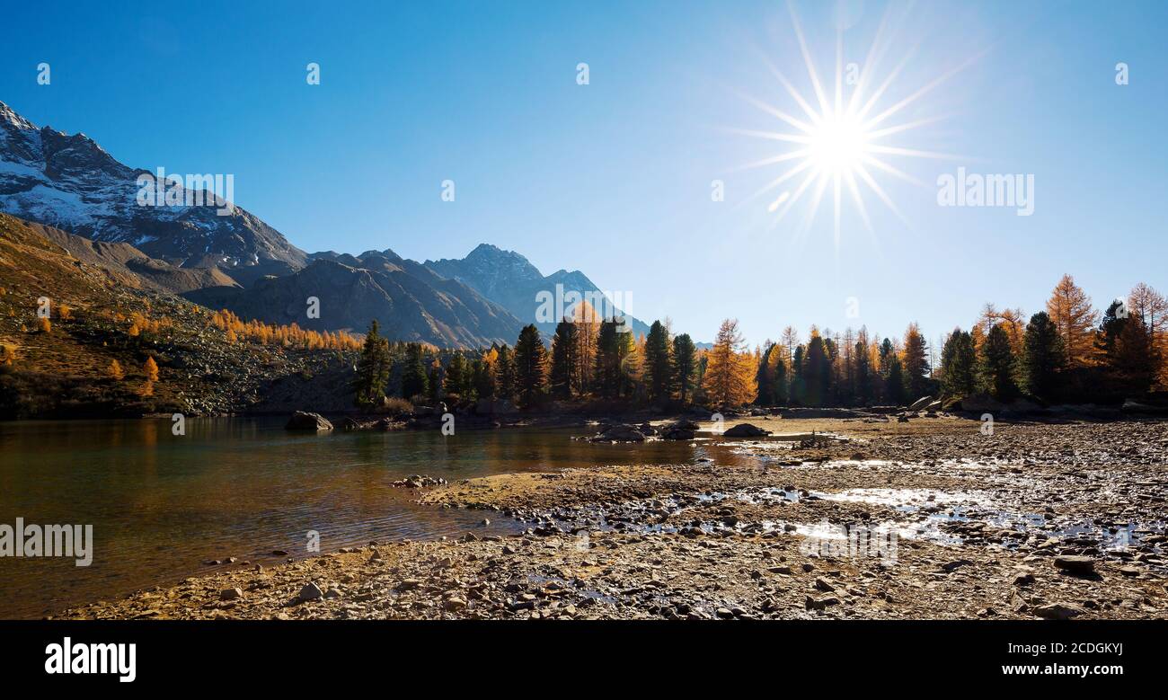 Val di campo - Engadina (CH) - Vista Autunno Foto Stock