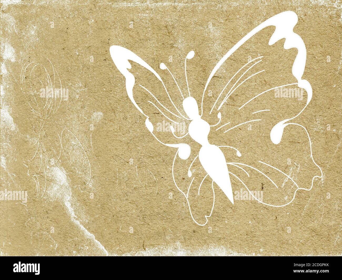 profilo a farfalla su carta vecchia Foto Stock