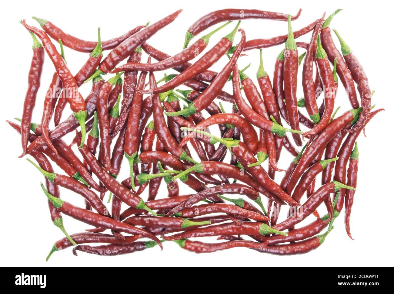 Lotto di peperoni rossi caldi isolati Foto Stock