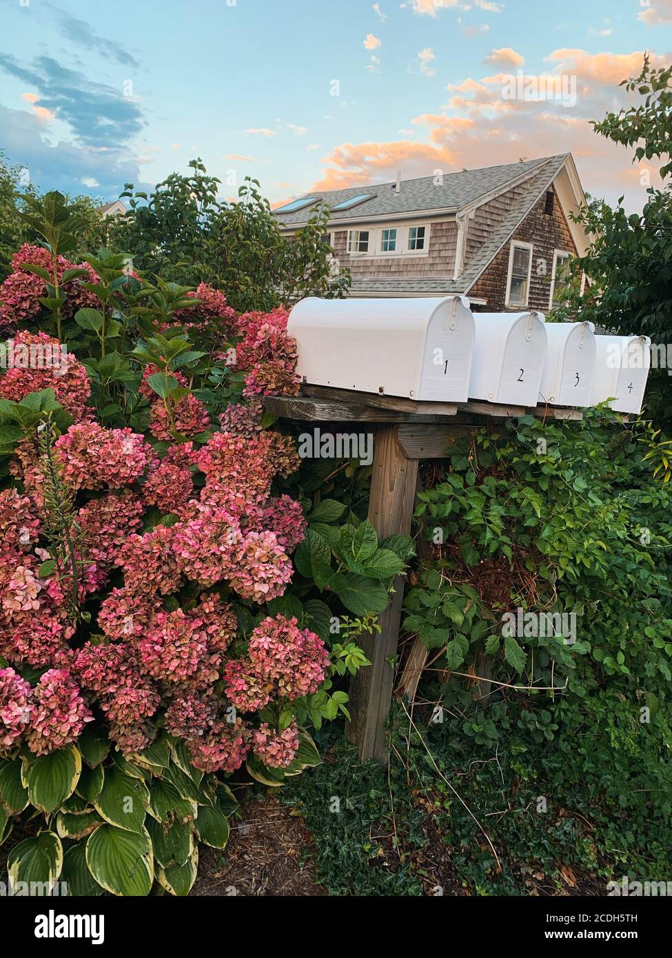 Idrangee e cassette postali in primo piano di un cottage costiero casa di stile Foto Stock