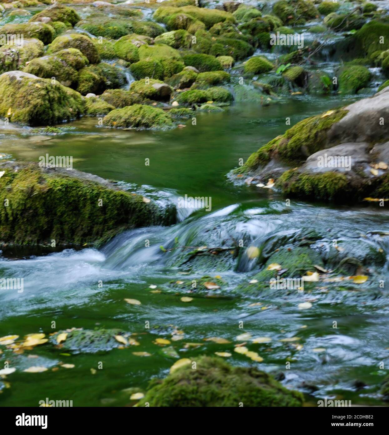 Mountain piccolo fiume Foto Stock