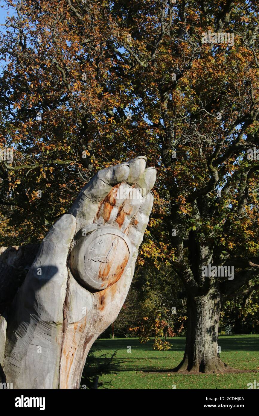 Ayr, Scozia, 28 ottobre 2019 Rozelle Park, scultura su albero, Ayr Credit : Alister Firth Foto Stock