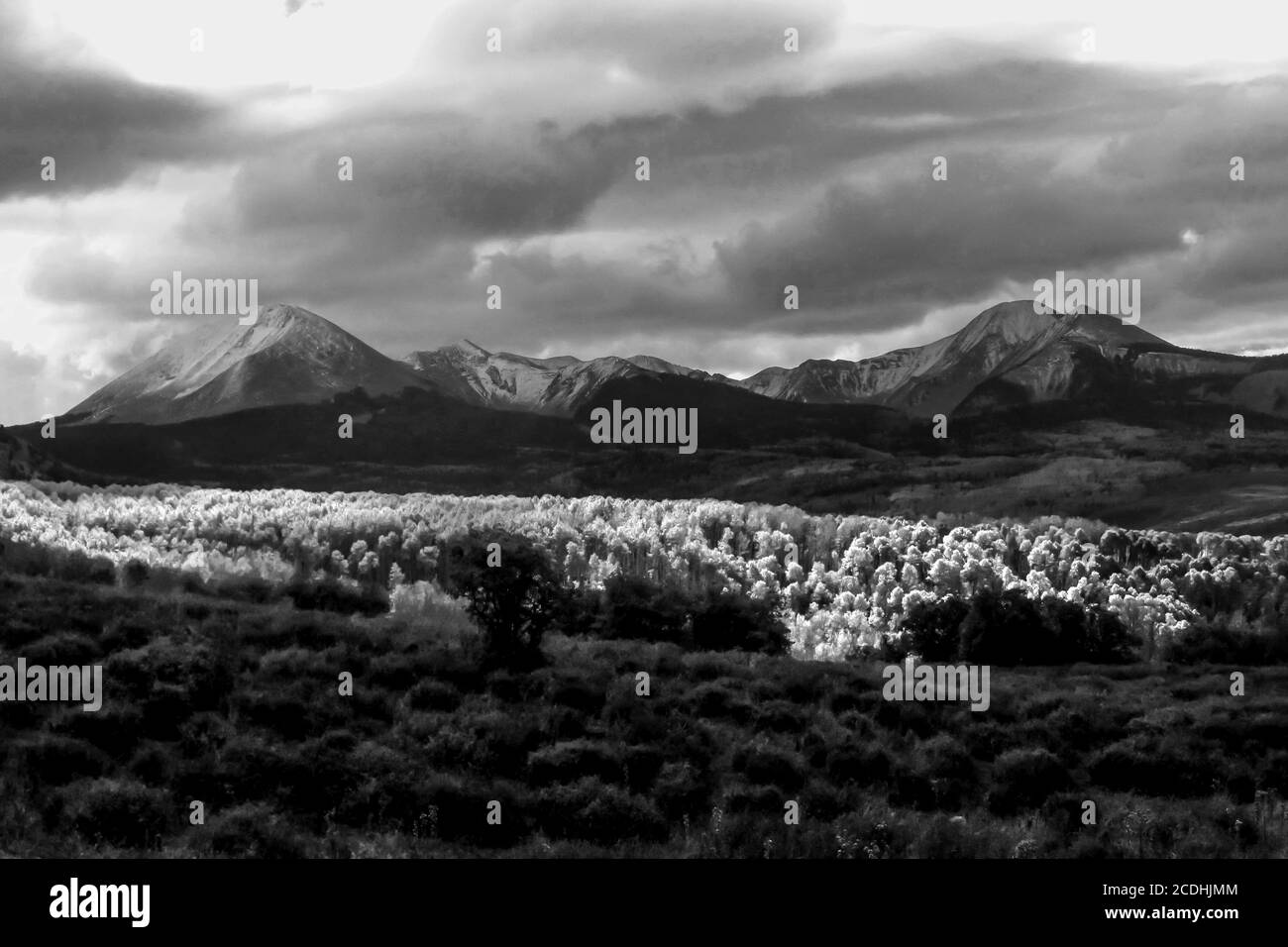 Nubi tempeste che si radunano intorno alle cime innevate delle montagne la SAL dello Utah, USA, con Aspen illuminato dall'ultima luce solare in primo piano ph Foto Stock