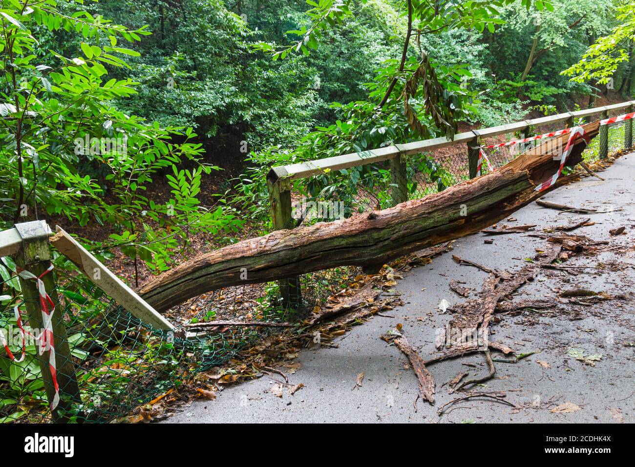 Danni arrecati durante la tempesta Francis ad Alum Chine, Bournemouth, Dorset UK nel mese di agosto Foto Stock