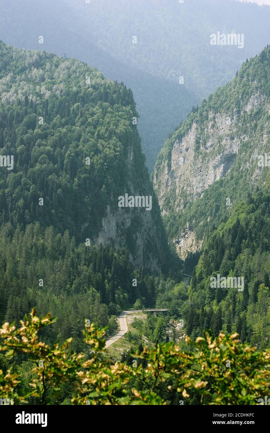 bellissima località montana con vegetazione verde Foto Stock