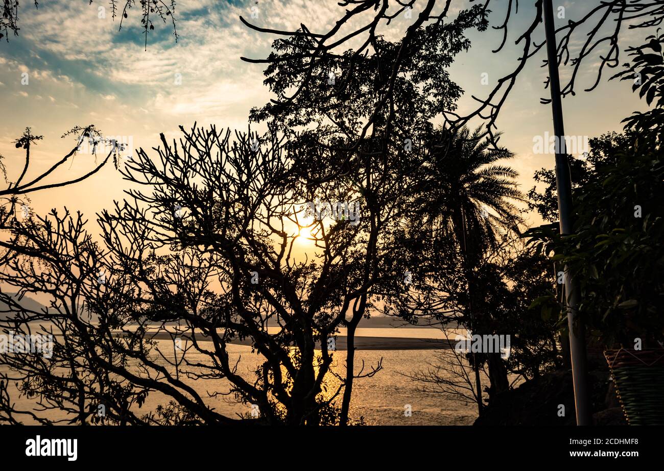 il cielo arancione del tramonto con l'ombra dell'albero al tramonto è ripreso all'isola di pavone guwahati assam india, che mostra la serena bellezza della natura al tramonto. Foto Stock