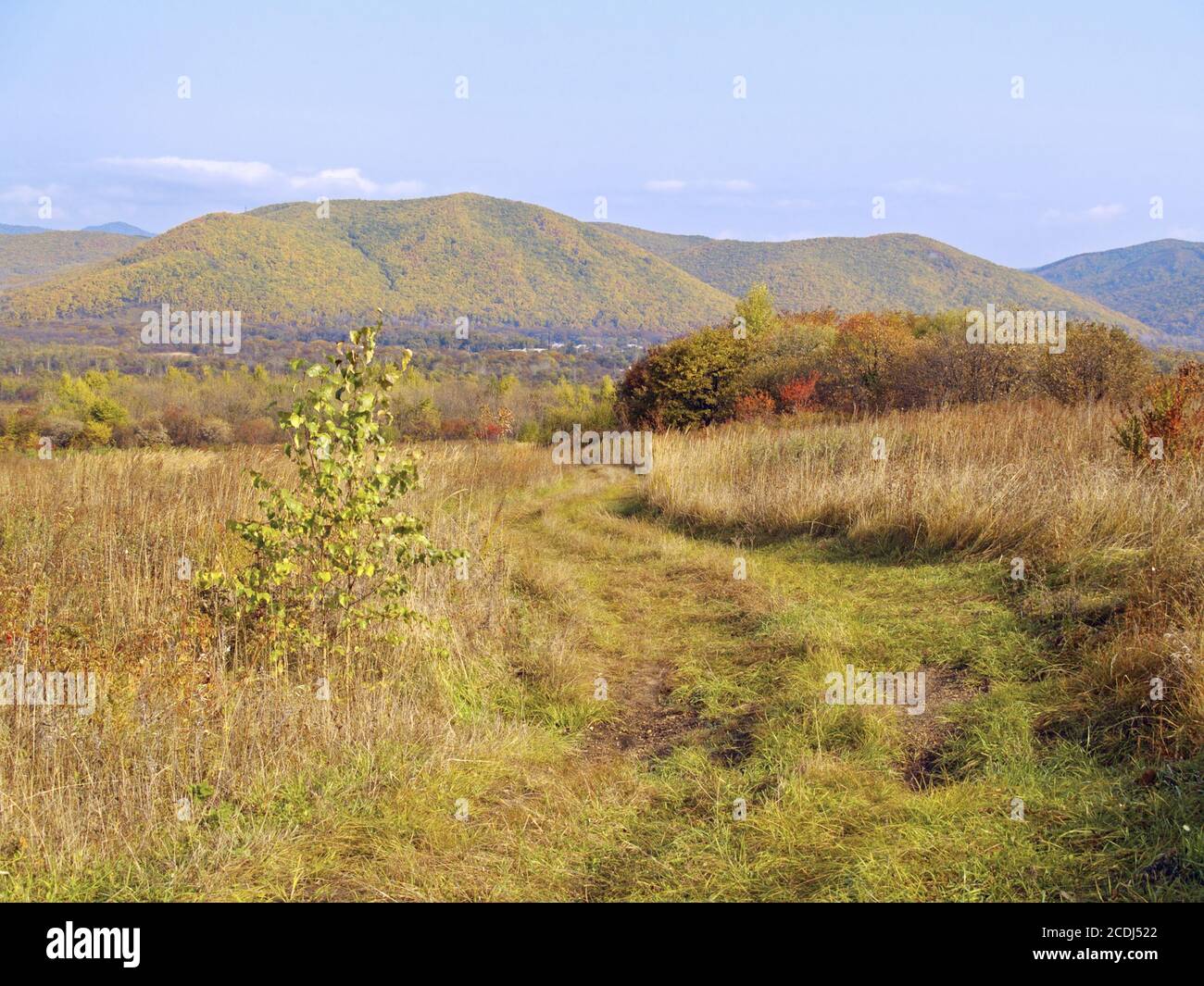 Giorno d'autunno su un pendio di collina Foto Stock