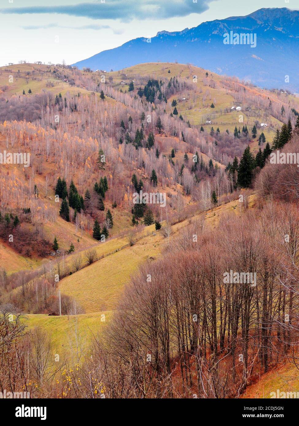 paesaggio tardo autunno con colline marroni Foto Stock