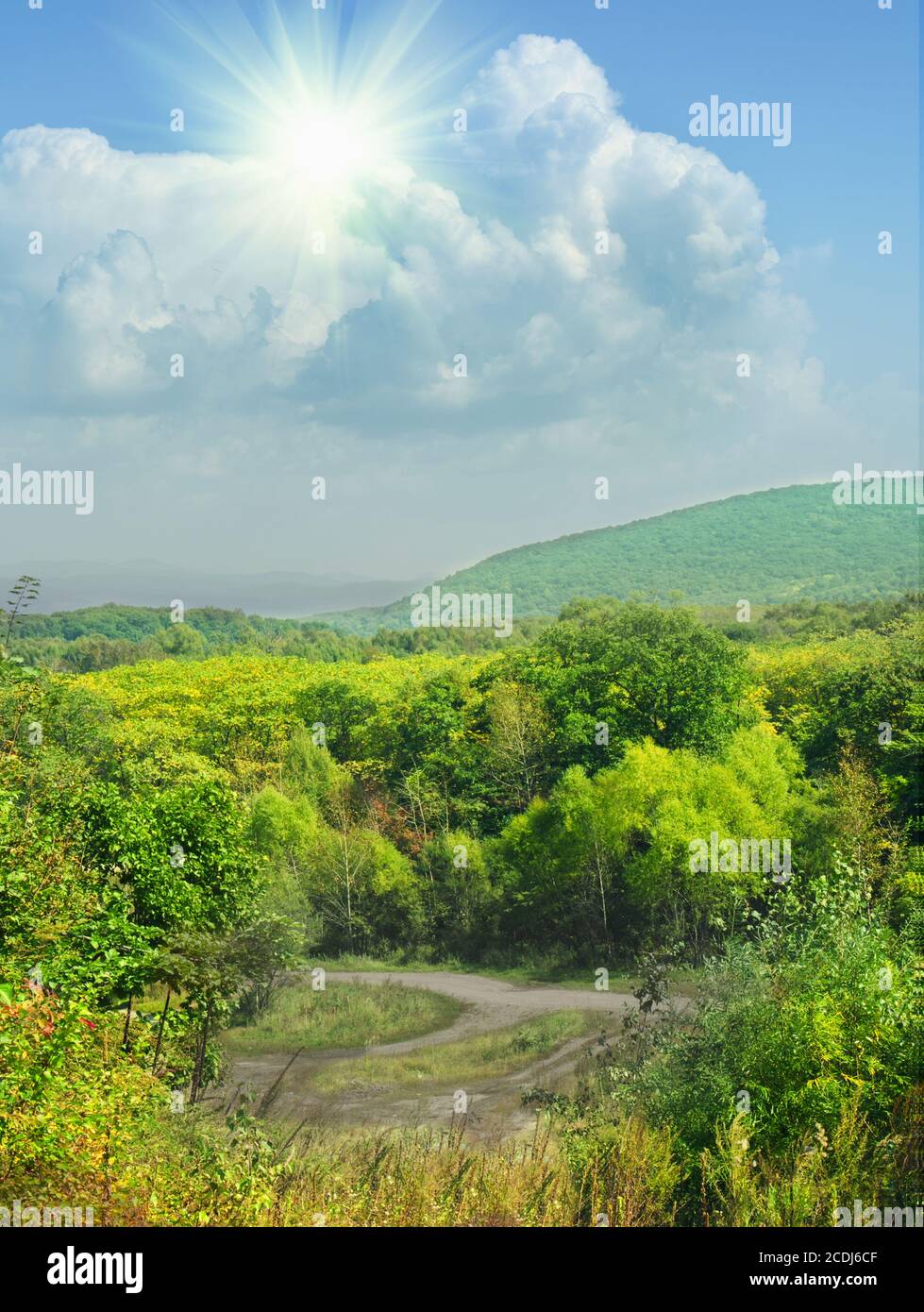 Paesaggio autunnale con colorati forest Foto Stock