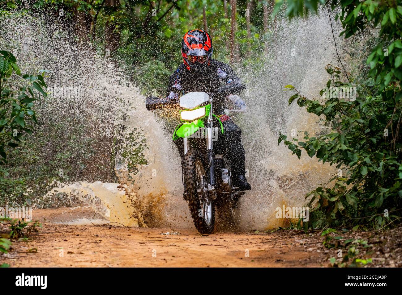 Donna che cavalca la sua bici da terra sulla pista forestale di Pak Chong / Thailandia Foto Stock