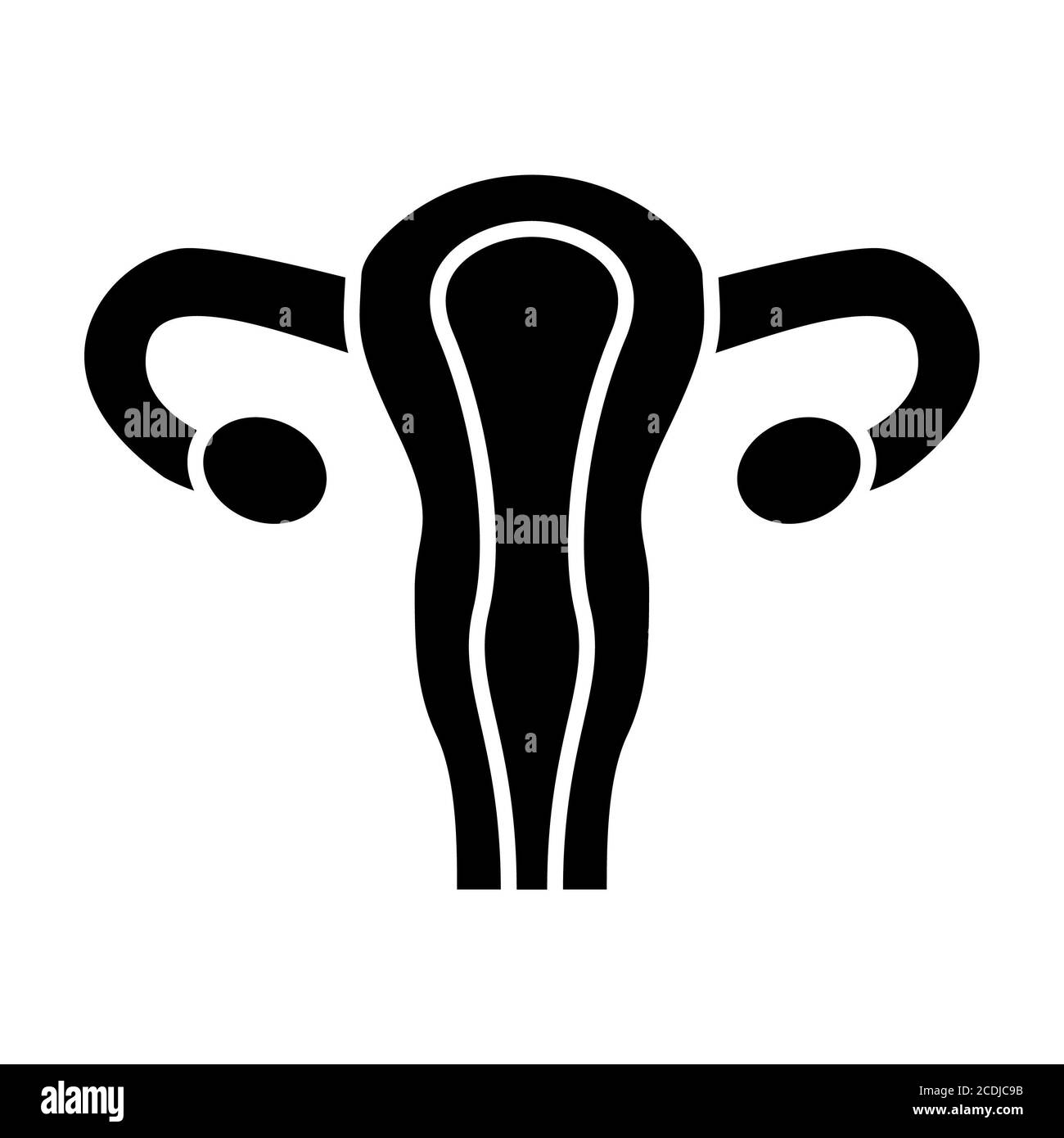 Icone glifi dell'anatomia dell'organo femminile Foto Stock