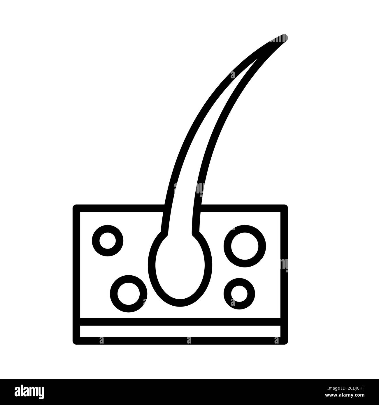Icona della linea di anatomia dei capelli Foto Stock