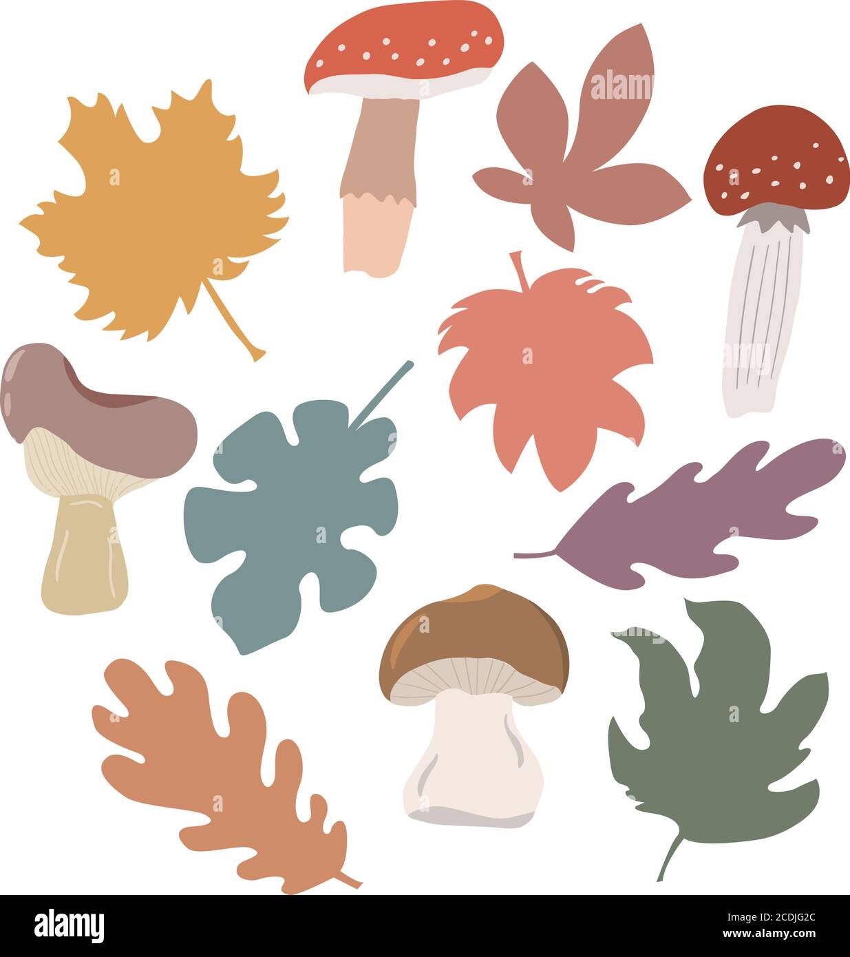 Set di foglie d'autunno colorate, funghi. Grafica vettoriale su sfondo bianco per la progettazione di schede, stampe su cuscini, confezioni, copertine, involucri Illustrazione Vettoriale