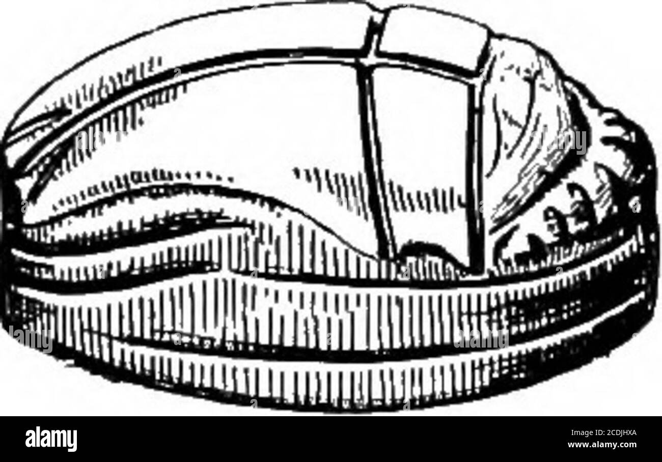 . Il palazzo di Minos : un resoconto comparativo delle fasi successive della prima civiltà cretese come illustrato dalle scoperte di Cnosso . ss. Nel deposito votivo della Grotta di Psychro, rispondendo al DiktaionAntron della tradizione licktiana, è stato trovato un ametjst scarab (Fig. 147) riconosciuto dagli egittologi come un tipico tessuto della dodicesima dinastia. Gli scarabs egiziani di questo tipo portano generalmente l'iscrizione su un piatto d'oro applicato sulla loro superficie inferiore. In questo caso, tuttavia, la faccia della pietra stessa è stata incisa da una mano nativa con un gruppo di minoanhieroglicfi, Foto Stock